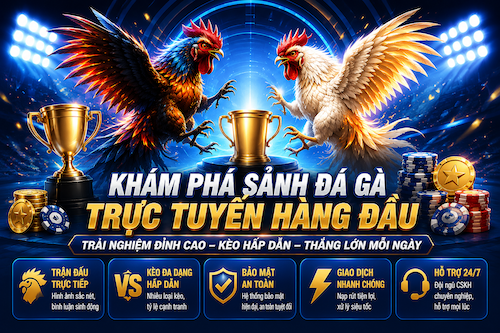 Sảnh đá gà trực tuyến Gi88 với livestream rõ nét, lịch trận cập nhật và bảng cược dễ theo dõi