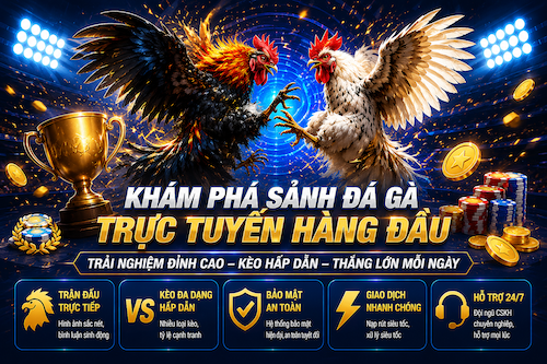 Đá Gà Gi88 – Sảnh Chọi Kê Trực Tuyến Với Livestream Rõ Nét Và Cửa Cược Dễ Theo Dõi